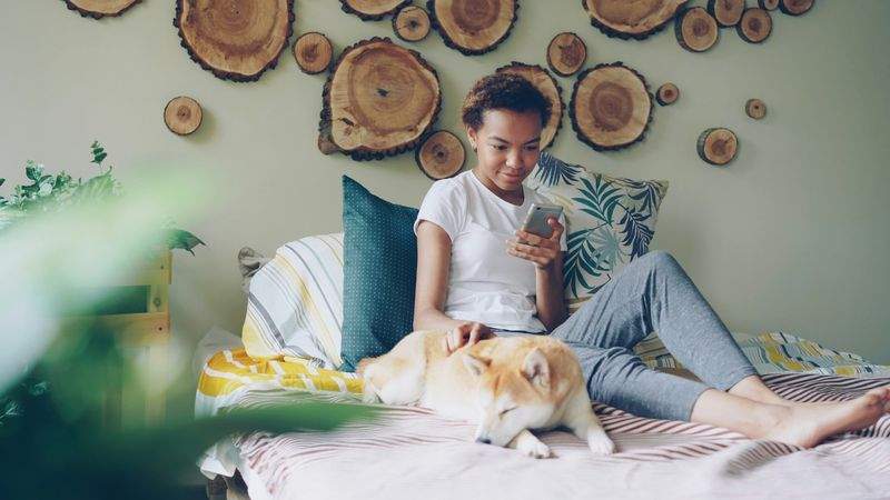 デジタル未来株式会社 - Image 12